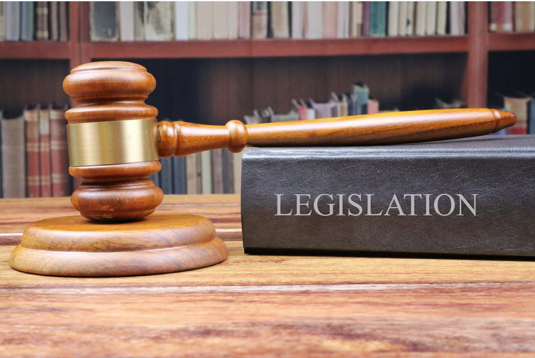 South Carolina Landlord-Tenant Act: What Every Landlord Needs to Know